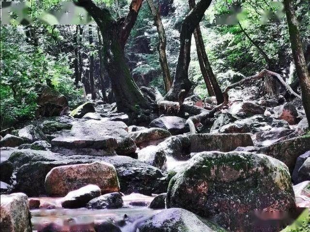小宝贝打网球